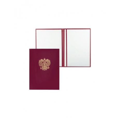 Папка адресная бумвинил с гербом России, формат А4, бордовая, индивидуальная упаковка, АП4-01011, (5 шт.) - фото 1