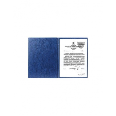 Папка адресная ПВХ НА ПОДПИСЬ, формат А4, увеличенная вместимость до 100 листов, синяя, ДПС, 2032.Н-101 - фото 3