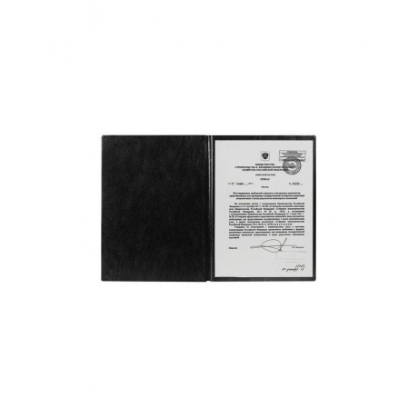 Папка адресная ПВХ НА ПОДПИСЬ, формат А4, увеличенная вместимость до 100 листов, черная, ДПС, 2032.Н-107 - фото 3