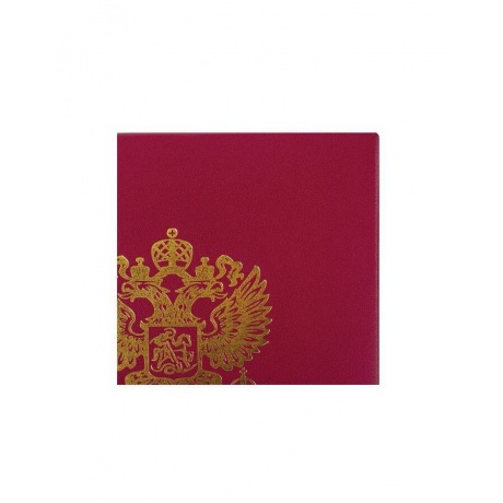 Папка адресная бумвинил с гербом России, формат А4, бордовая, индивидуальная упаковка, STAFF, 129576, (5 шт.) - фото 5