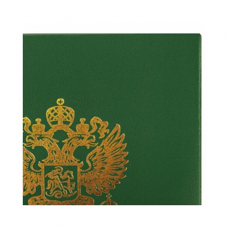 Папка адресная бумвинил с гербом России, формат А4, зеленая, индивидуальная упаковка, STAFF, 129581, (5 шт.) - фото 4