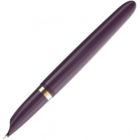 Перьевая ручка Parker 51 Premium 2123516 - фото 5