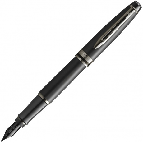 Перьевая ручка Waterman Expert DeLuxe 2119188 - фото 1