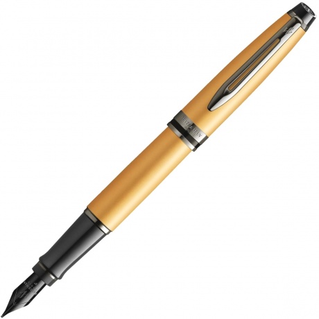 Перьевая ручка Waterman Expert DeLuxe 2119257 - фото 1