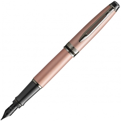 Перьевая ручка Waterman Expert DeLuxe 2119261 - фото 1