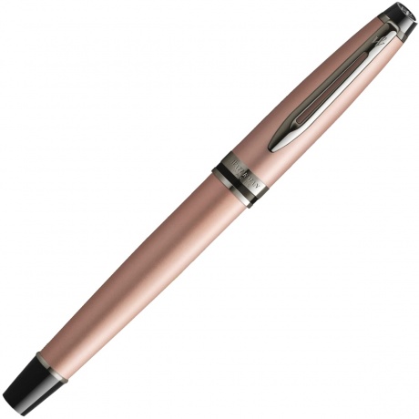 Перьевая ручка Waterman Expert DeLuxe 2119261 - фото 2