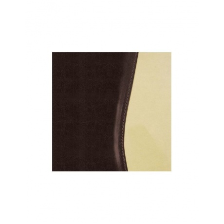 Ежедневник BRAUBERG недатированный, А5, 138х213 мм, De Luxe, под комбинированную кожу, 160 л., коричневый/бежевый, золотой срез, 123403 - фото 1