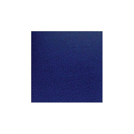 Ежедневник BRAUBERG недатированный, А5, 138х213 мм, Profile, под фактурную кожу, 160 л., синий, 123426 - фото 5