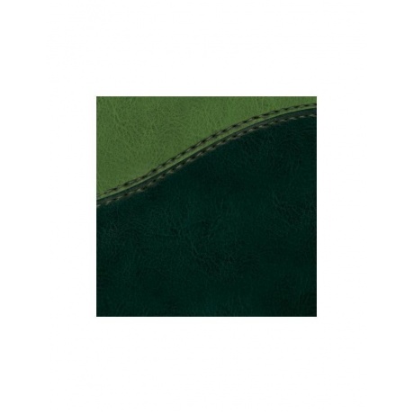 Ежедневник BRAUBERG недатированный, А5, 138х213 мм, Bond, под комбинированную кожу с волной, 160 л., зеленый/салат., 126219 - фото 5