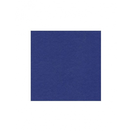 Ежедневник BRAUBERG недатированный, А5, 145х215 мм, 160 л., обложка бумвинил, синий, 123327, (5 шт.) - фото 4