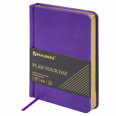 114470, Ежедневник недатированный МАЛЫЙ ФОРМАТ 100x150 мм А6 BRA...