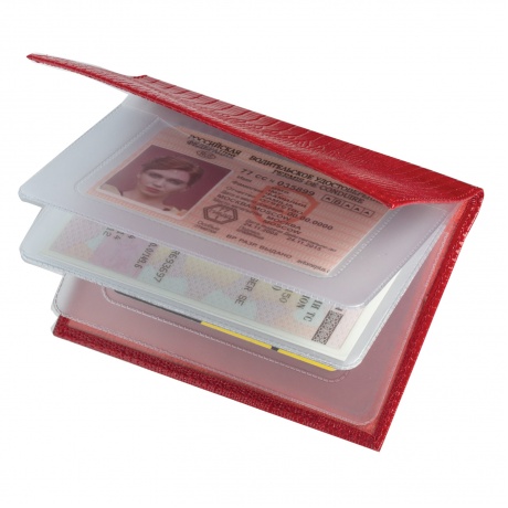 Бумажник водителя BEFLER Ящерица, натуральная кожа, тиснение, 6 пластиковых карманов, красный, BV.1.-3 - фото 2
