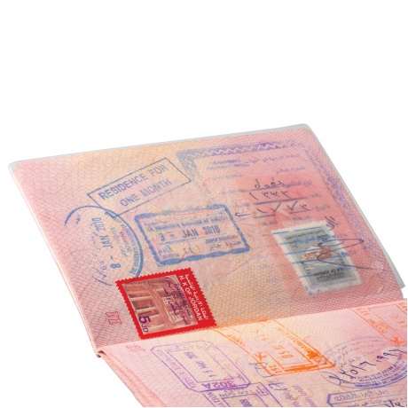 Обложка для листа паспорта, 128х87 мм, ПВХ, прозрачная, ДПС, 1361.К, (60 шт.) - фото 3