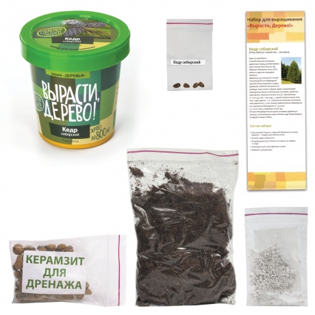 Набор для выращивания растений ВЫРАСТИ ДЕРЕВО! Кедр Сибирский (банка, грунт, семена), zk-001 - фото 2