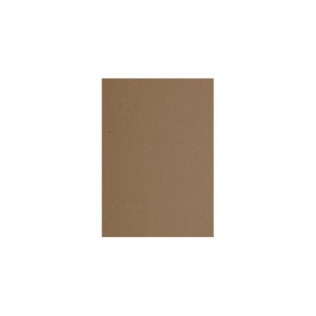 Крафт-бумага для графики, эскизов А4 (210х297 мм), 120 г/м2, 100 л., BRAUBERG ART CLASSIC, 112486 - фото 2