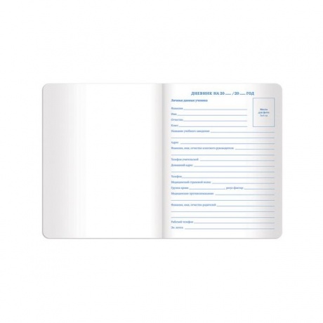 Дневник для 1-11 класса Brauberg Dazzle, 48 листов (105453) серебристый - фото 9