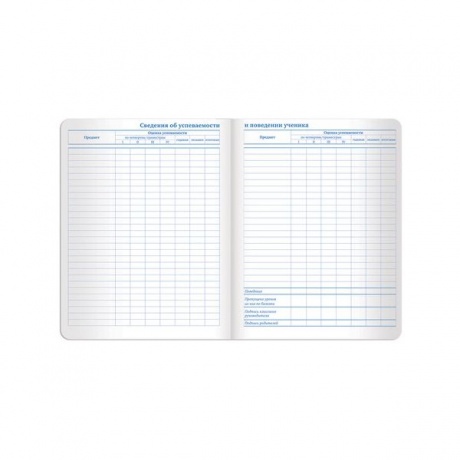 Дневник для 1-11 класса Brauberg Dazzle, 48 листов (105455) синий - фото 11