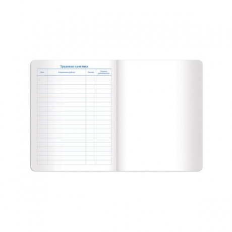 Дневник для 1-11 класса Brauberg Dazzle, 48 листов (105455) синий - фото 12