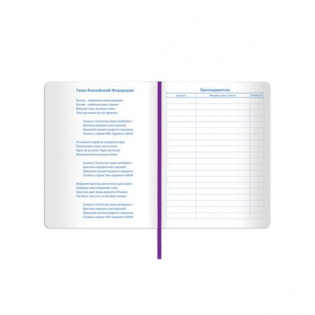 Дневник для 1-11 класса Brauberg Dazzle, 48 листов (105456) фиолетовый - фото 10