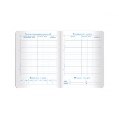 Дневник для 1-11 класса Brauberg Dazzle, 48 листов (105456) фиолетовый - фото 12