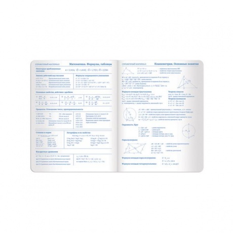 Дневник для 1-11 класса Brauberg Latte, 48 листов ( 105437) бирюзовый - фото 5