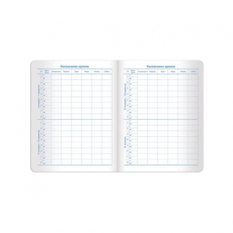 Дневник для 1-11 класса Brauberg Нежность, 48 листов (105465) - фото 17