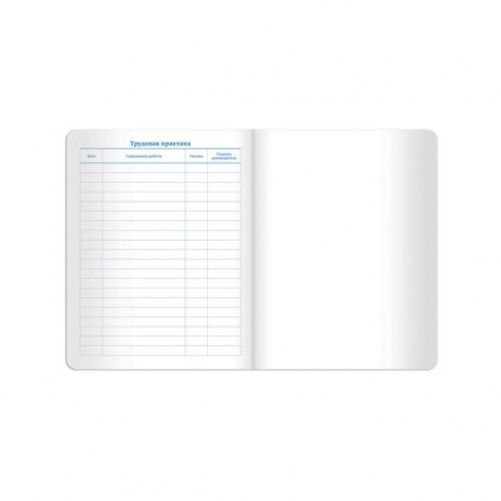 Дневник для 1-11 класса Brauberg Sparkle, 48 листов (105462) бирюзовый - фото 11
