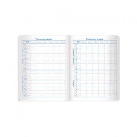 Дневник для 1-11 класса Brauberg Sparkle, 48 листов (105462) бирюзовый - фото 14