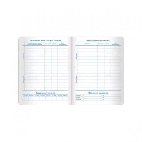 Дневник для 1-11 класса Brauberg Sparkle, 48 листов (105462) бирюзовый - фото 15