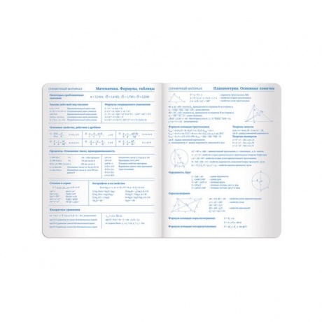 Дневник для 1-11 класса Brauberg Sparkle, 48 листов (105462) бирюзовый - фото 16