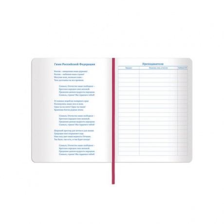 Дневник для 1-11 класса Brauberg Sparkle, 48 листов (105463) розовый - фото 13