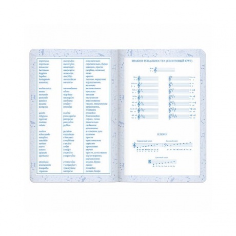 Дневник для музыкальной школы Brauberg 105500, 48 листов, темно-синий - фото 8