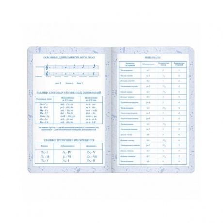 Дневник для музыкальной школы Brauberg 105500, 48 листов, темно-синий - фото 9