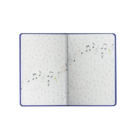 Дневник для музыкальной школы Brauberg 105500, 48 листов, темно-синий - фото 14