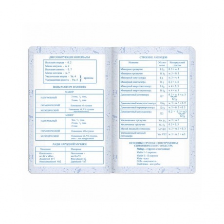 Дневник для музыкальной школы Brauberg 105500, 48 листов, темно-синий - фото 17