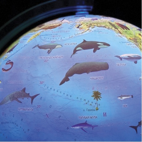 Глобус зоогеографический GLOBEN Классик Евро, диаметр 250 мм, с подсветкой, детский, Ке012500270 - фото 4