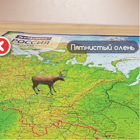 112392, Карта России физическая 101х70 см, 1:8,5М, с ламинацией, интерактивная, европодвес, BRAUBERG, 112392 - фото 6