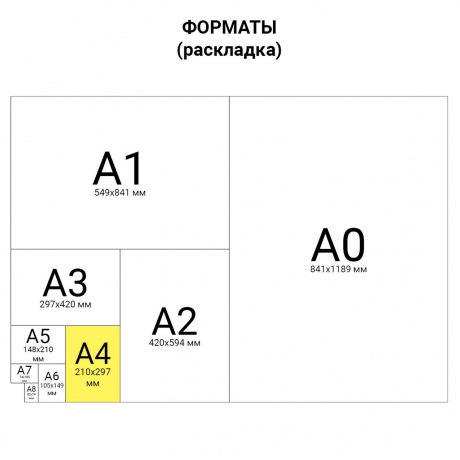 Альбом для рисования, А4, 40 листов, спираль, конгрев, фольга, HATBER, 205х300 мм, Beautiful birds (5), 40А4КфвлВсп, (Цена за 10 шт.) - фото 2