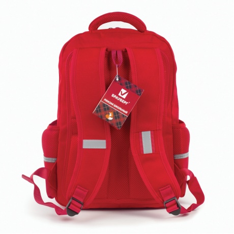 Рюкзак BRAUBERG с пеналом в комплекте, эрго-спинка, для девочек, Лиса, 42х29х14 см, 227852 - фото 13