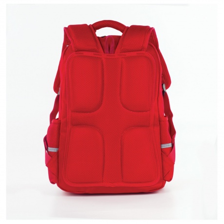 Рюкзак BRAUBERG с пеналом в комплекте, эрго-спинка, для девочек, Лиса, 42х29х14 см, 227852 - фото 14