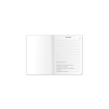 Классный журнал BRAUBERG 1-4 кл., А4, 200х290 мм, твердая ламинированная обложка, офсет, 125140 - фото 4