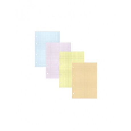 Сменный блок к тетради на кольцах, А5, 200 л., BRAUBERG, 4 цвета по 50 л., 401661 - фото 3