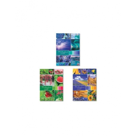 Тетрадь А4, 96 л., HATBER, скоба, клетка, обложка картон, Разноцветный мир (3 вида), 96Т4В3, (10 шт.) - фото 1