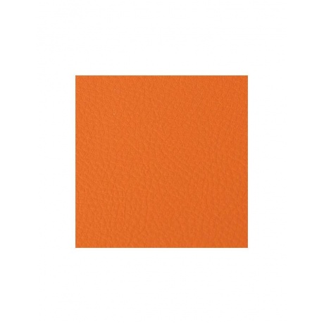 Тетрадь на кольцах А5 (180х220мм), 120л, кожзам, BRAUBERG Joy, оранжевый/светло-оранжевый - фото 9