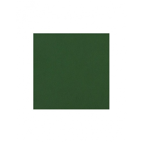 Тетрадь на кольцах А5 (180х220мм), 120л, кожзам, BRAUBERG Joy, зелёный/светло-зелёный - фото 9