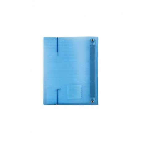 Тетрадь на кольцах А5 (175х220 мм), 120 л., пластиковая обложка, клетка, с фиксирующей резинкой, BRAUBERG, синяя, 403567 - фото 7