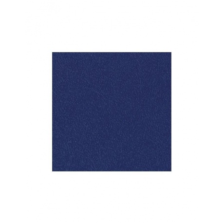 Тетрадь на кольцах А5 (180х220 мм), 80 л., обложка ПВХ, клетка, BRAUBERG, синий, 403913 - фото 8