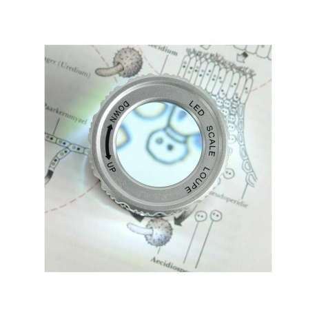 Лупа Veber MG30X30UV измерительная с подсветкой - фото 8