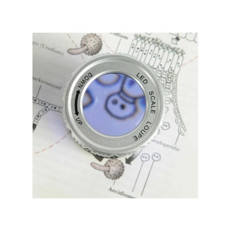 Лупа Veber MG30X30UV измерительная с подсветкой - фото 9