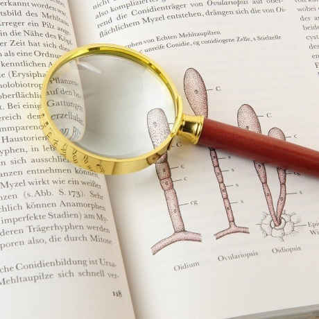 Лупа Veber MB50-1 (6х, 50мм) - фото 2